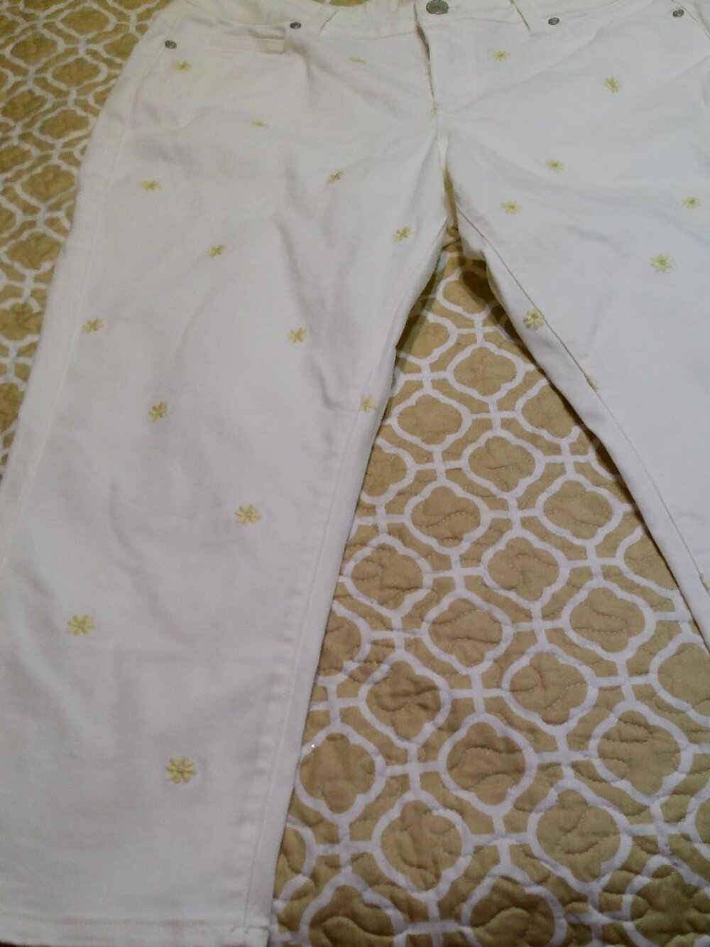 COLD WATER CREEK CAPRI NWT SIZE 12 WHITE WITH DAISIES